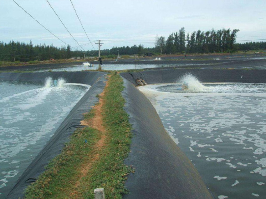 1678262571724054.jpg q12.jpg